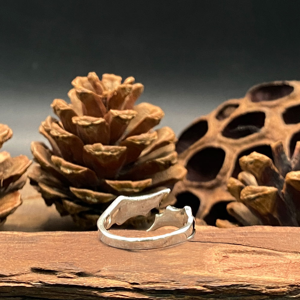 Gothic Bat Wing Ring with Skul - огляд і ціна Gothic Skull Ring