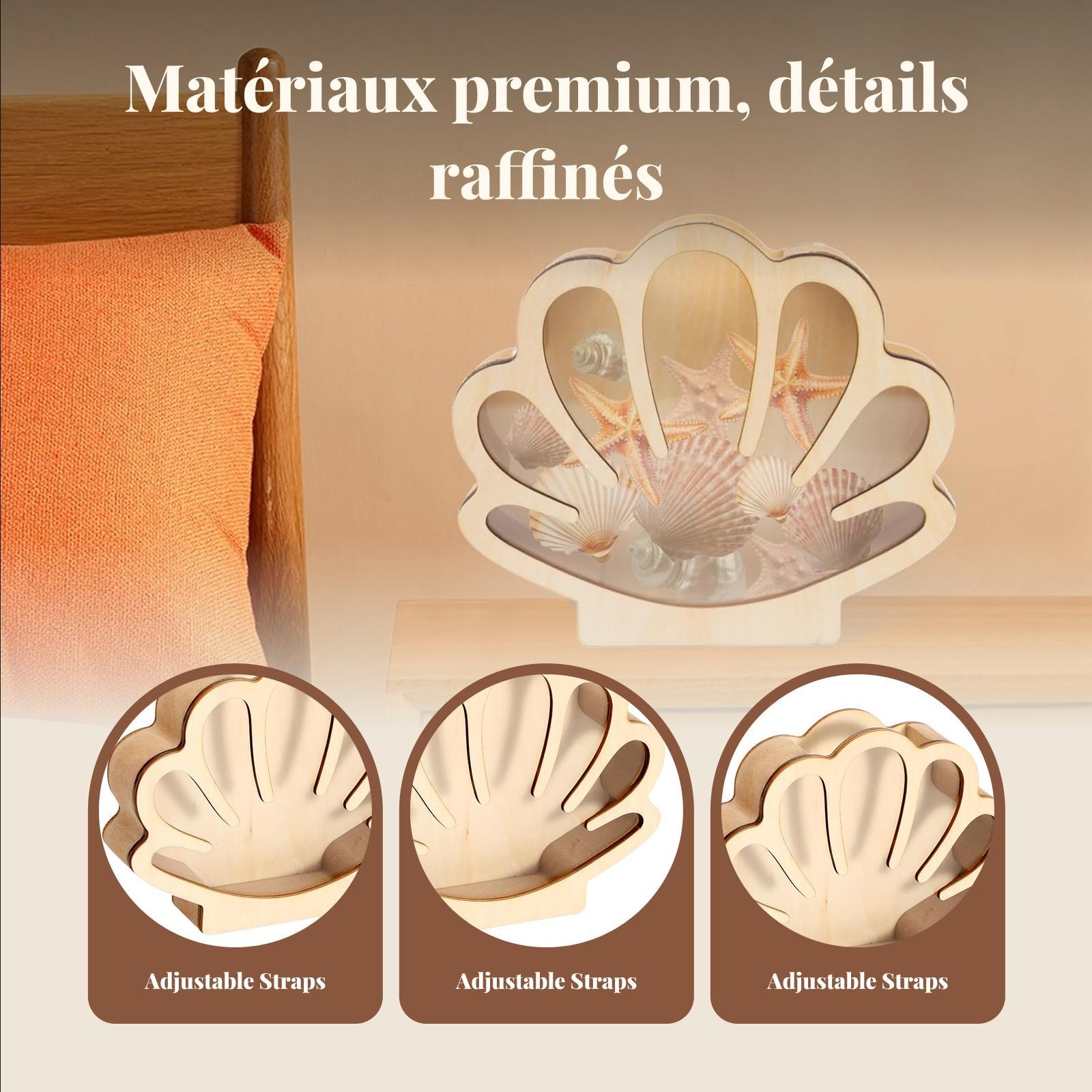 Wooden Shell Display Box Colle - огляд і ціна Collectors Coins Jewelry & Watches Of Smithtown